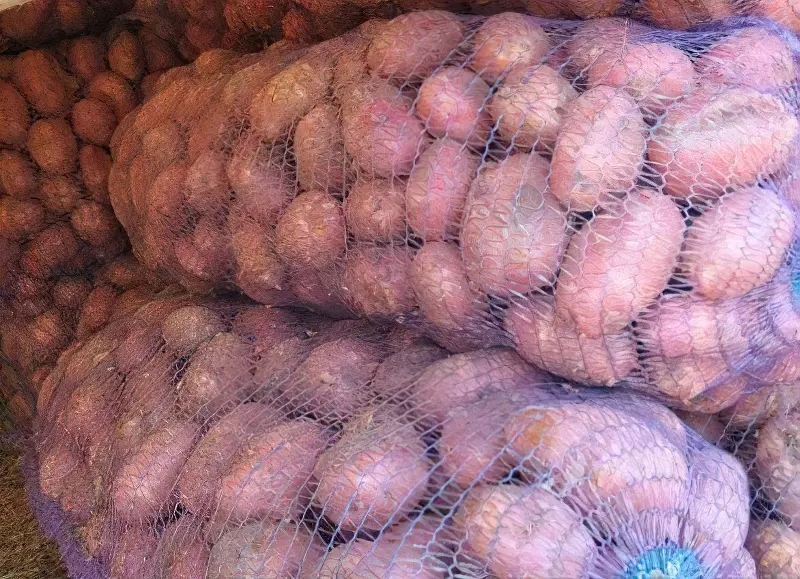 Зберігання картоплі в мішках