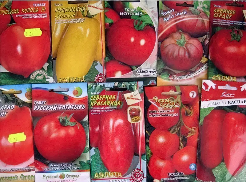 Різні насіння томатів в пакетиках