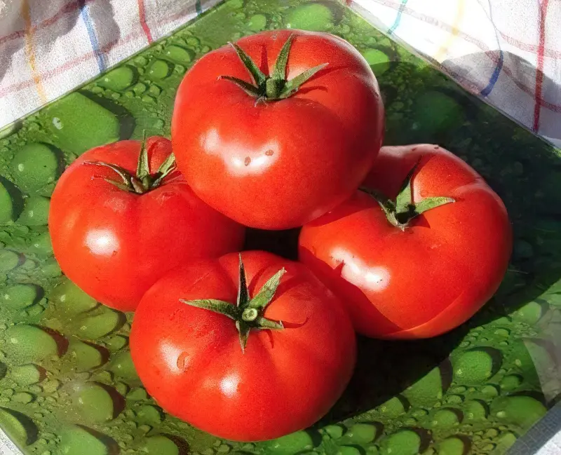 Популярний сорт томатів Аляска