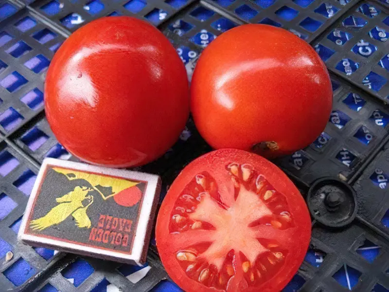 Сорт томату 