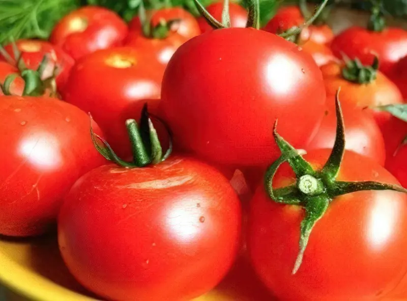Урожай томатів слот f1