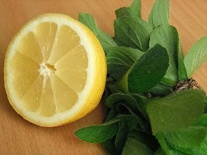 Варення з м'яти з лимонами