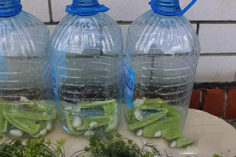 Як засолити огірки на зиму у 5 літрових пластикових пляшках