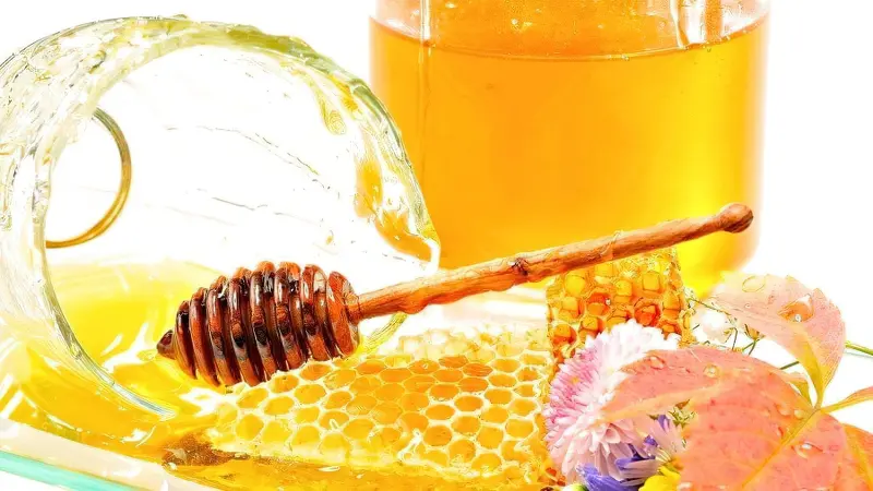 мед для вкорінення